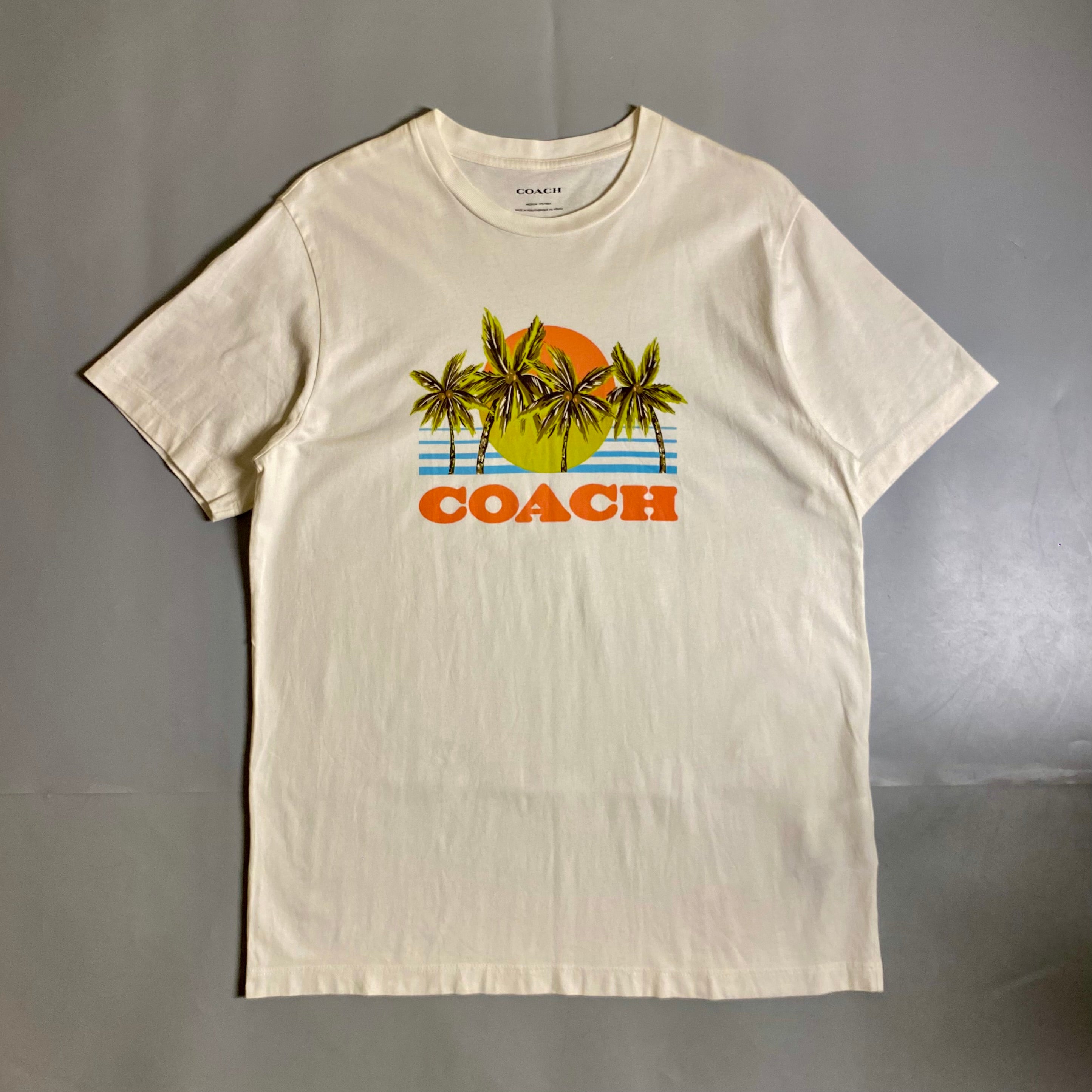 Coach Hawaiian Graphic T-shirt featuring a palm tree and sunset design