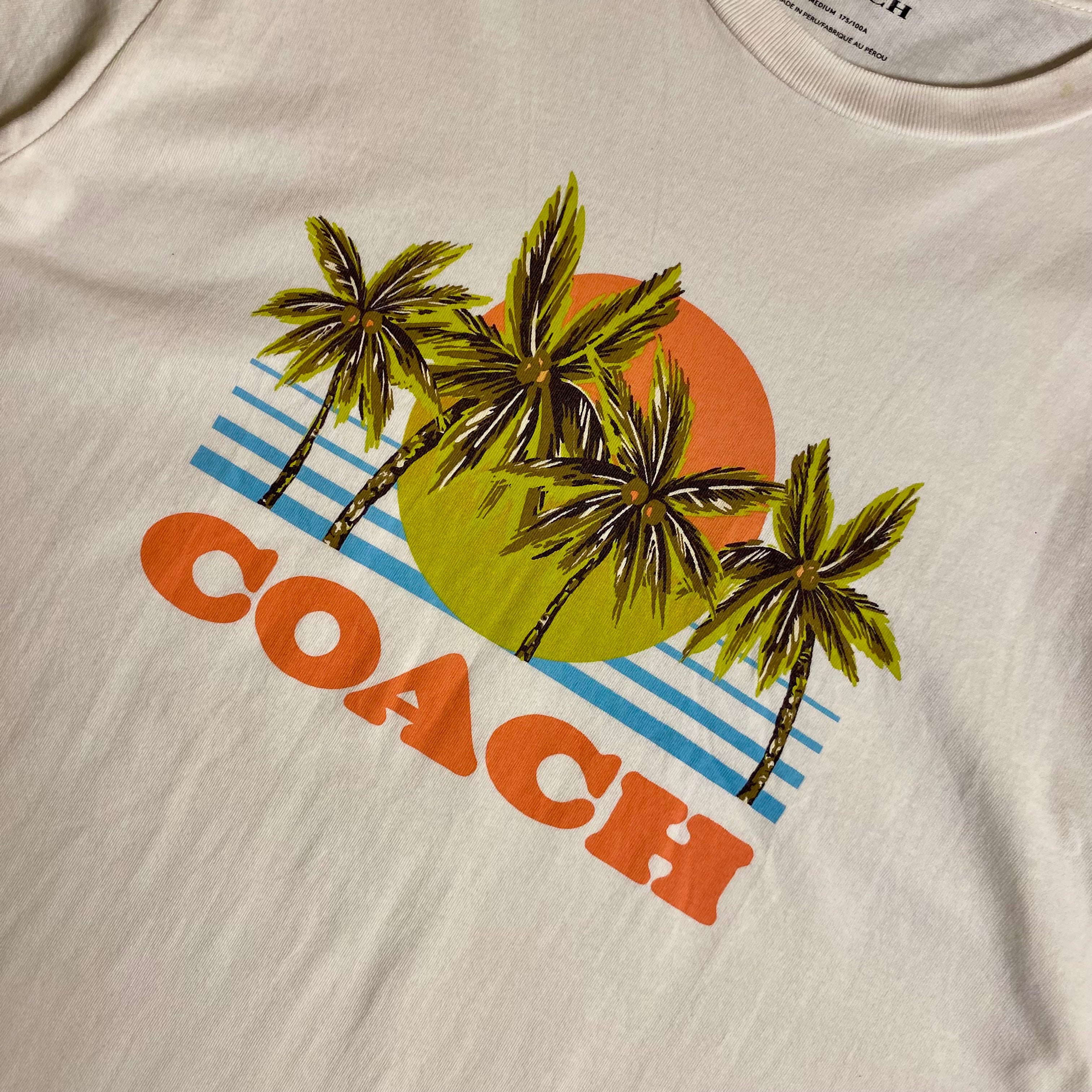 Coach Hawaiian Graphic T-shirt featuring a palm tree and sunset design